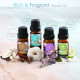 Extra 10% When Buying 2 or More Items! Reliable Seller!