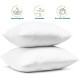 Extra 10% When Buying 2 Items or more! Reliable Seller!