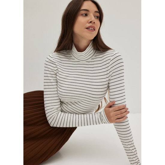 Striped Jersey Turtle Neck Tee