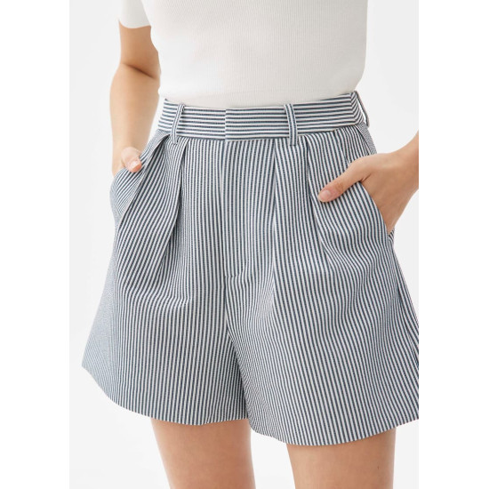 Striped Pleated A-line Shorts