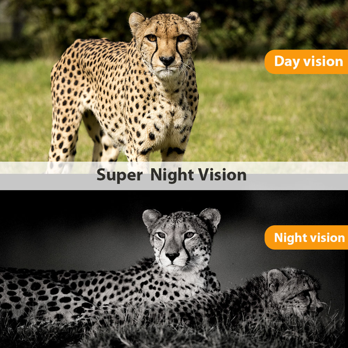 Suntek DL023 20MP HD 1080P 0.2s Trigger Time Waterproof IP65 IR Night Vision Hunting Camera Trail Camera Outdoor Wildlife Monitoring Home Security Surveillance